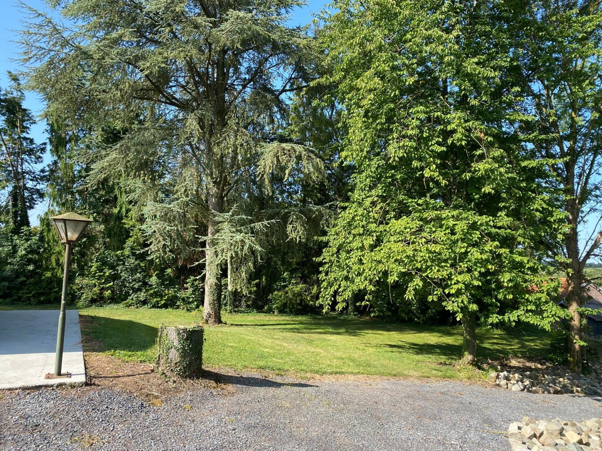 Au Cedre Bleu Villa Carnoy Kültér fotó